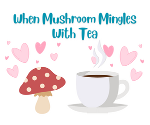 Learn about Mushroom tea