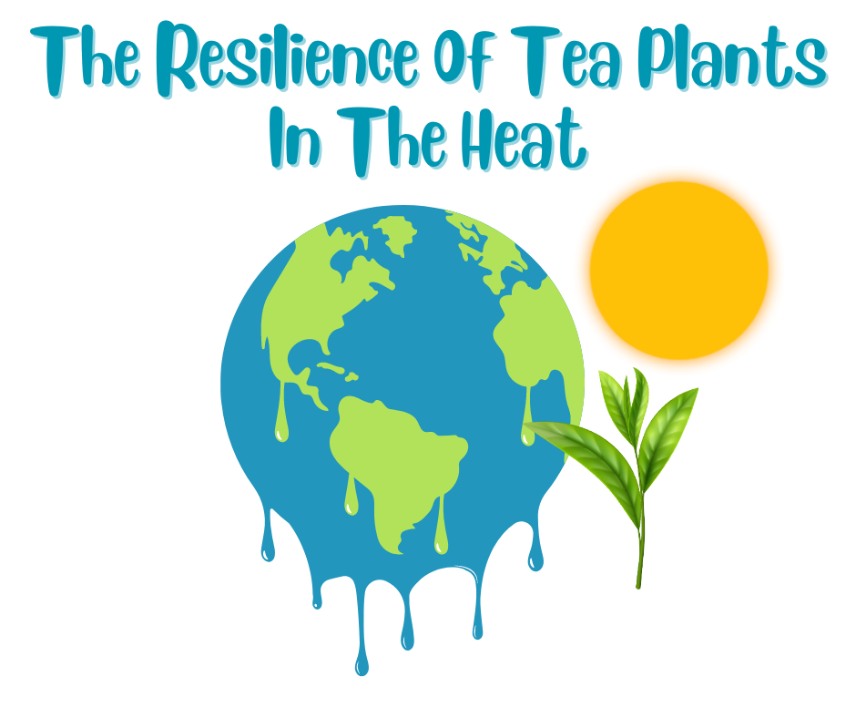 The Resilience of Tea Plants in Hot Climates