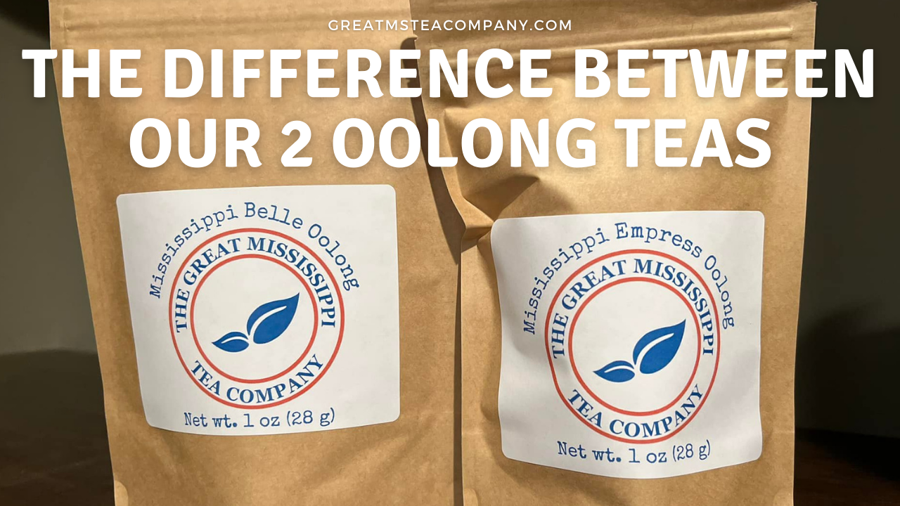 What is the difference between our two Oolong teas?