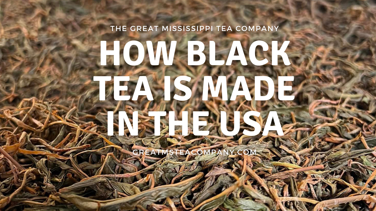 How Black tea is made in the US
