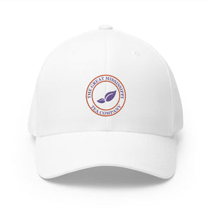 Stylish Embroidered Cap for Tea Lovers, Casual Headwear, Gift for Tea Enthusiasts, Outdoor Accessories, Birthday Present, Summer Style
